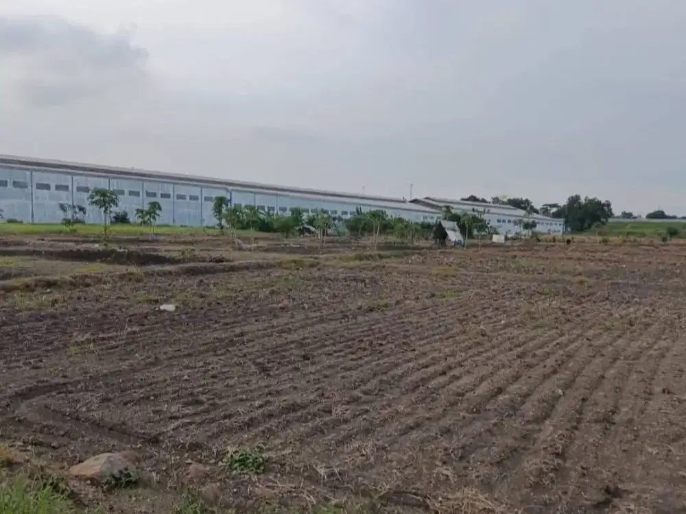 Lahan Plot Industri Driyorejo