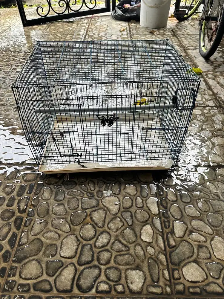 Kandang burung cukup besar