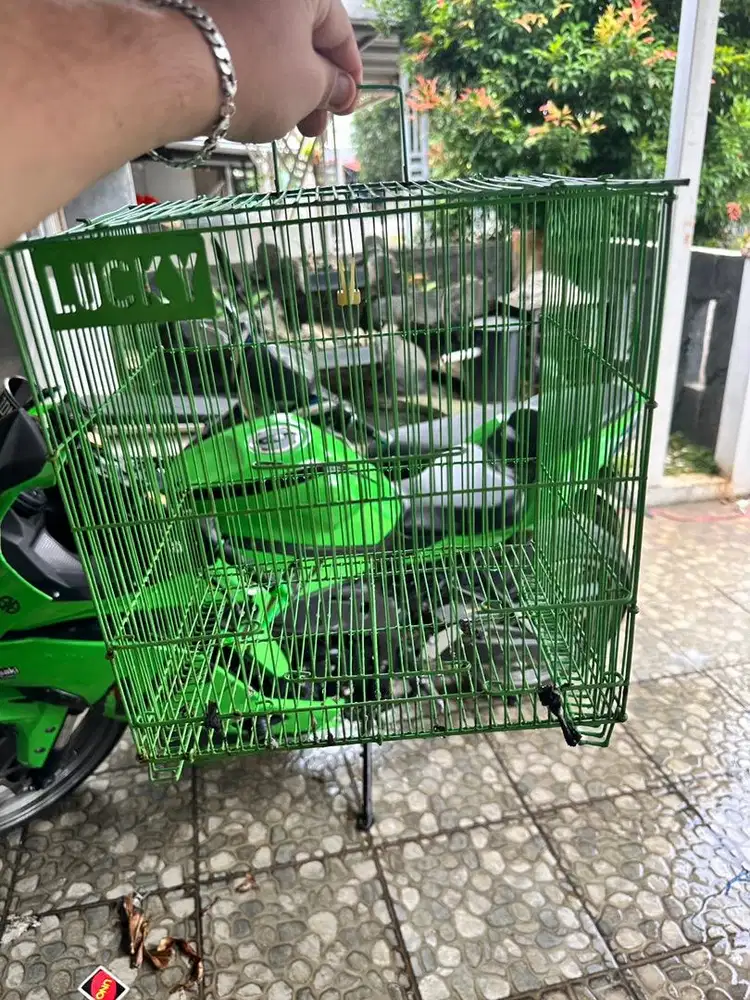 Kandang burung kondisi aman