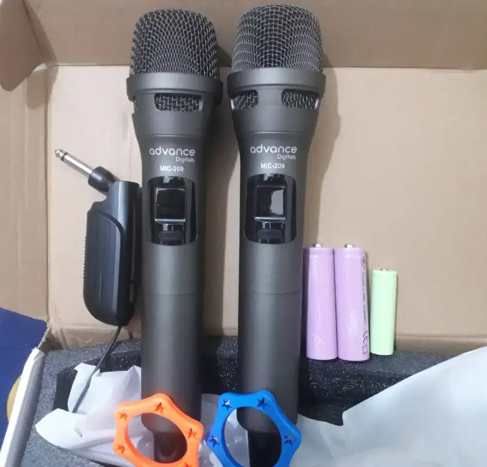 MIC WERLES/BLUETOOTH DOUBLE