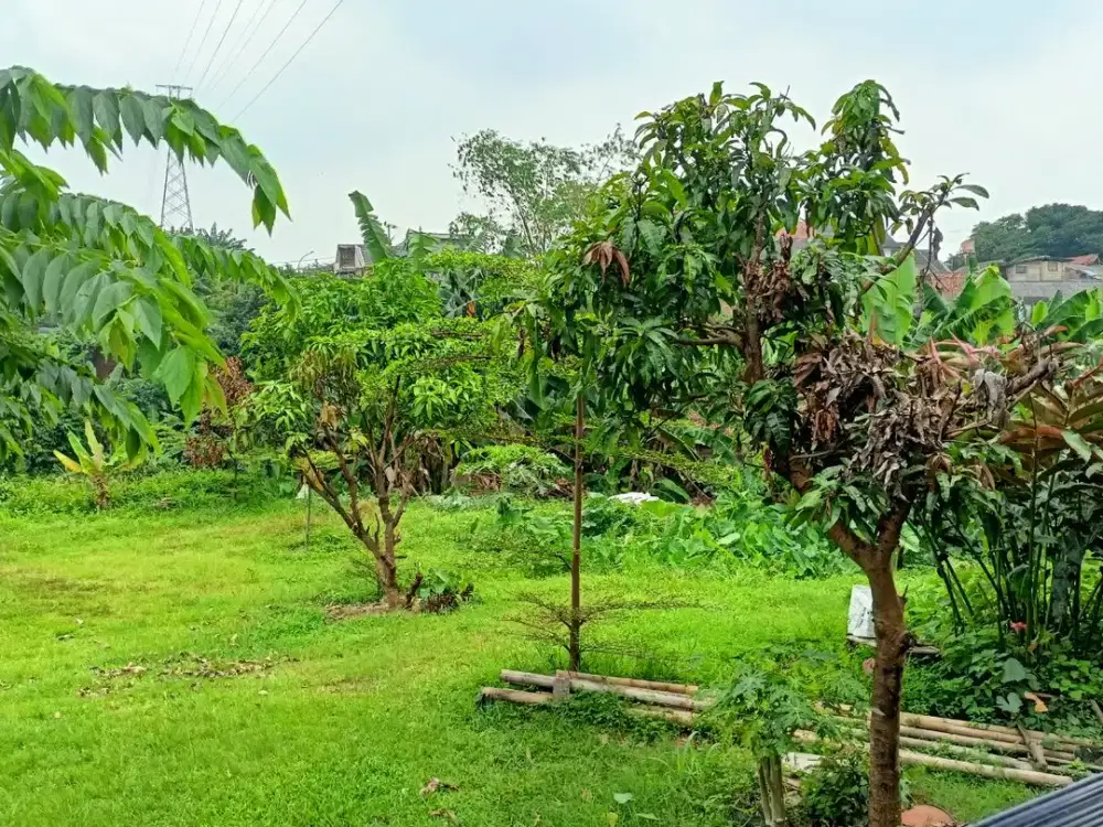 Kavling Kota Bogor Di Lingkungan Perumahan