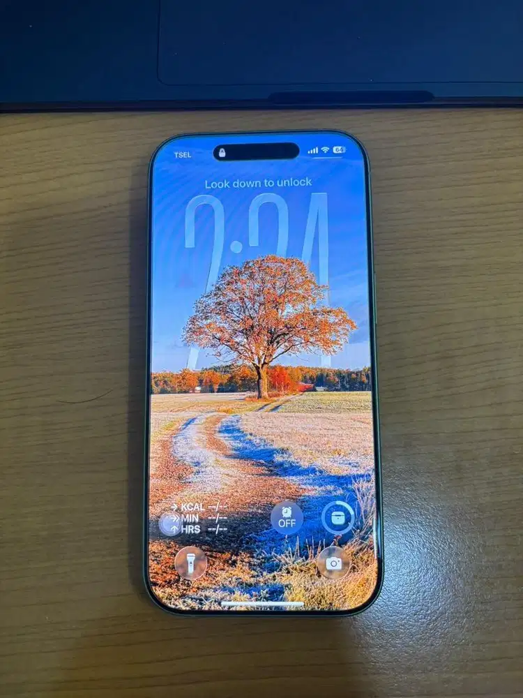 IPHONE 17 256GB SAGE