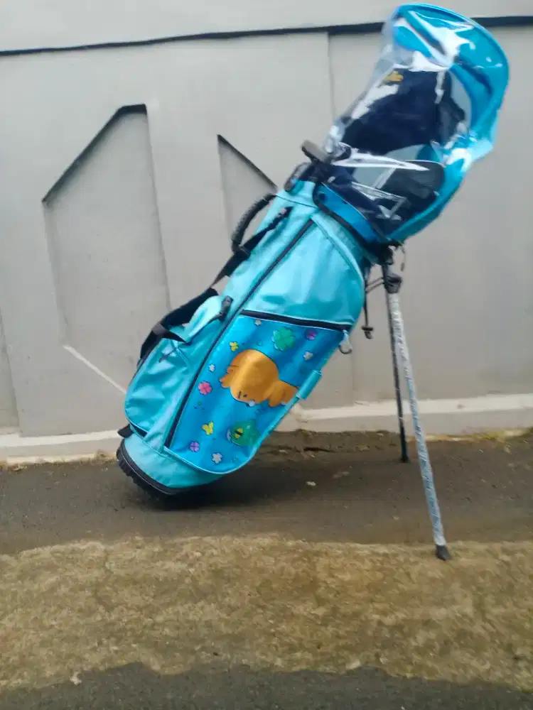 stick golf ladies Mizuno