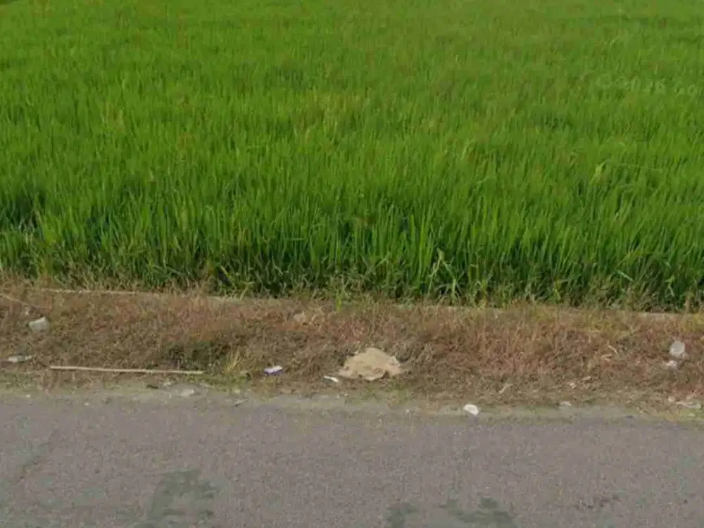 Dijual tanah pinggir jalan lokasi utara fajar indah