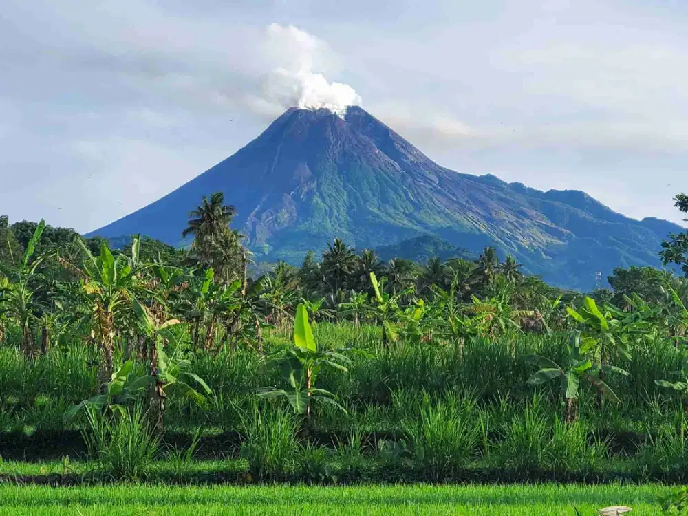 Tanah Murah SHM Pekarangan View Gunung Merapi Sumberan Pakem