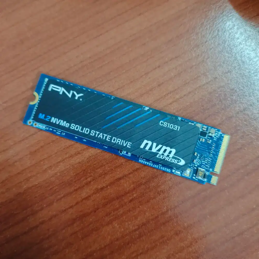 PNY CS1031 256gb