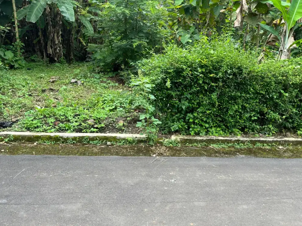 Tanah Murah Datar 75 Juta 247m2 Utara SMA Kerjo Karanganyar