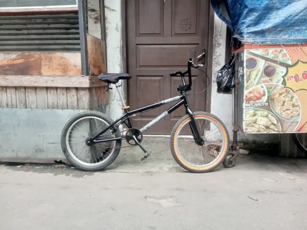 BMX Polygon freezer 3.0