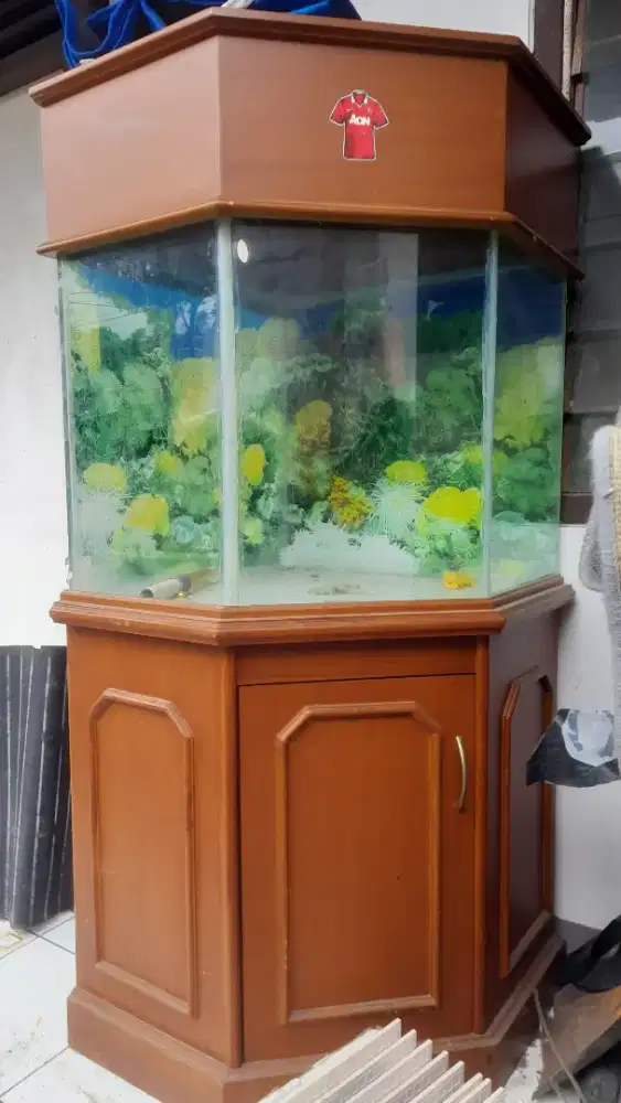 Akuarium secon buat apa saja