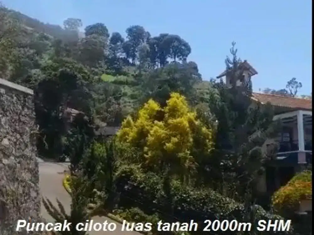 Jual Tanah Puncak Ciloto Cocok Untuk Villa SHM Akses Bagus