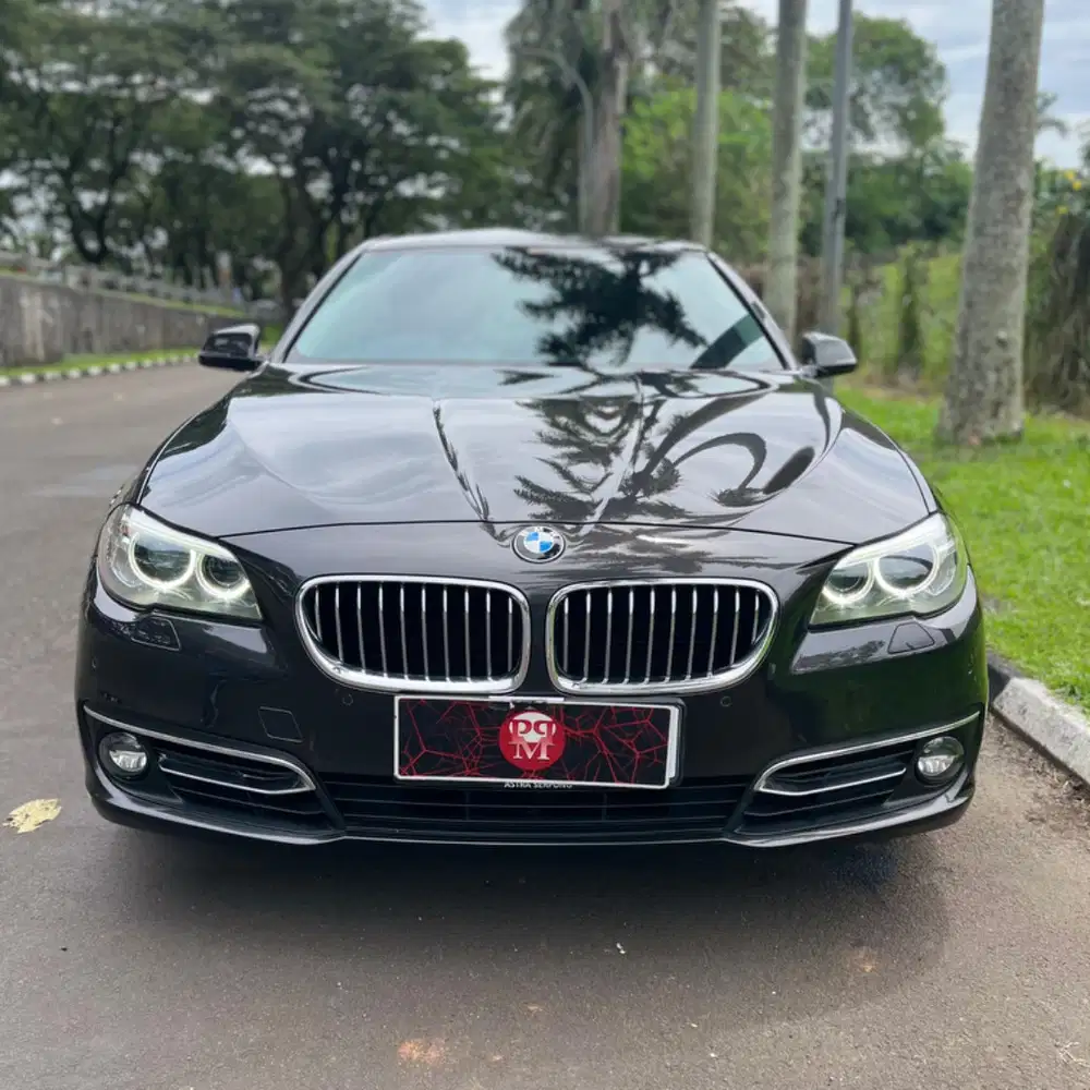 BMW 520i Luxury AT 2015 LOW KM
