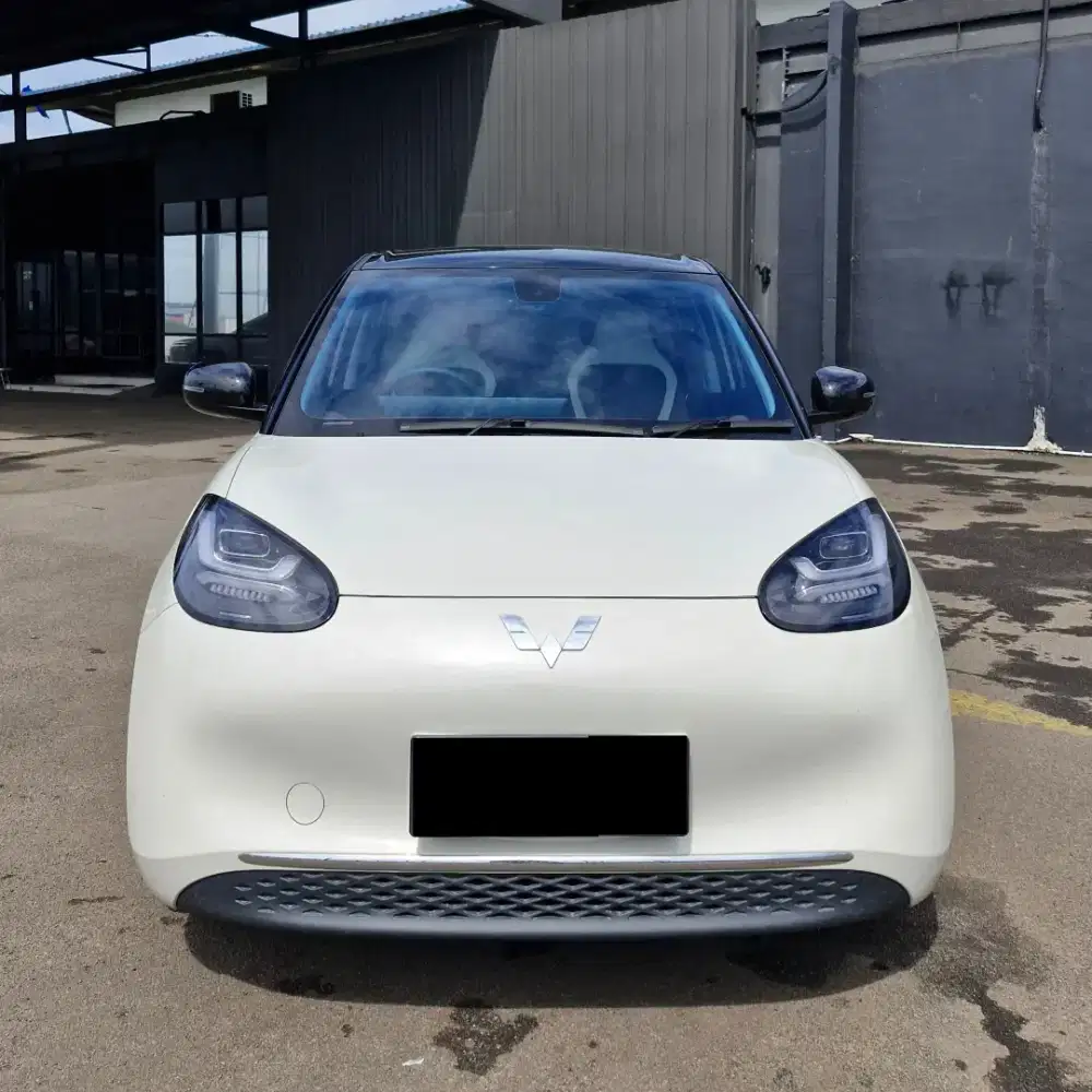 Wuiling Binguo  2024