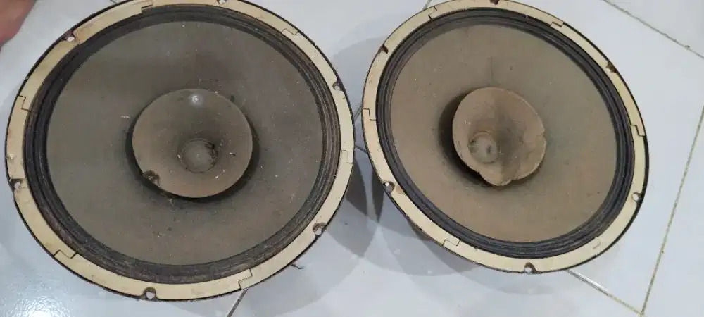 Speaker acr 12in sepasang