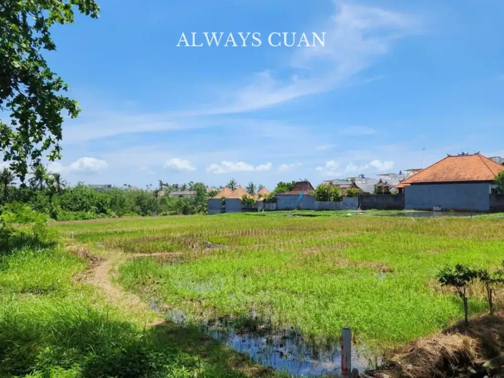 Tanah di Jalan Utama Pantai Seseh - Badung Bali Dijual/Disewakan