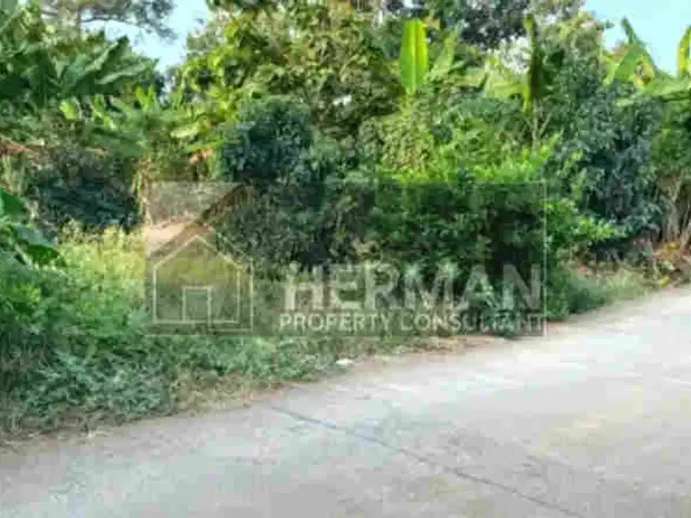 Tanah Tembalang Mulawarman Undip