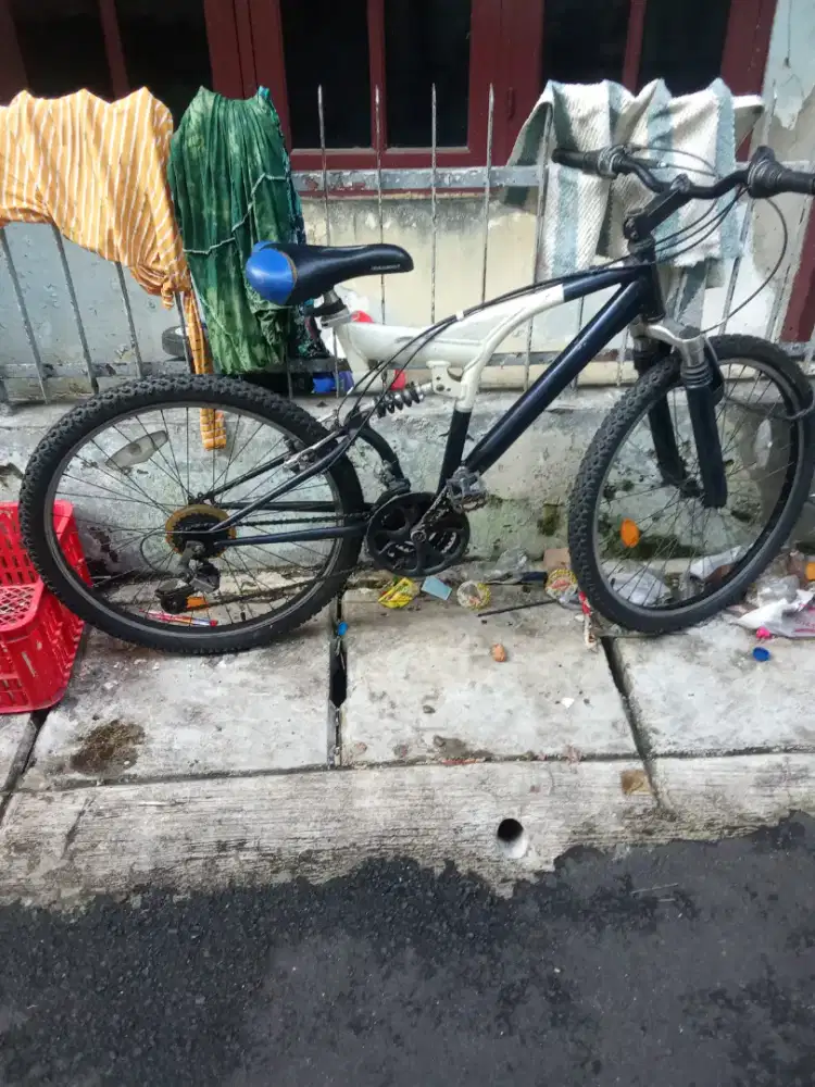 sepeda gunung wimcycle dewasa