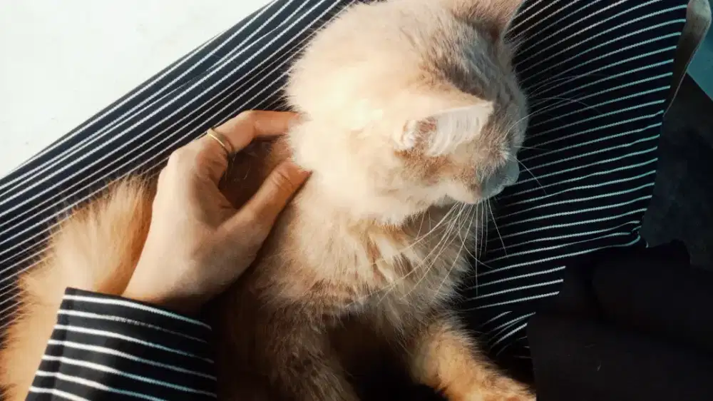 Cari kerja buat cewe