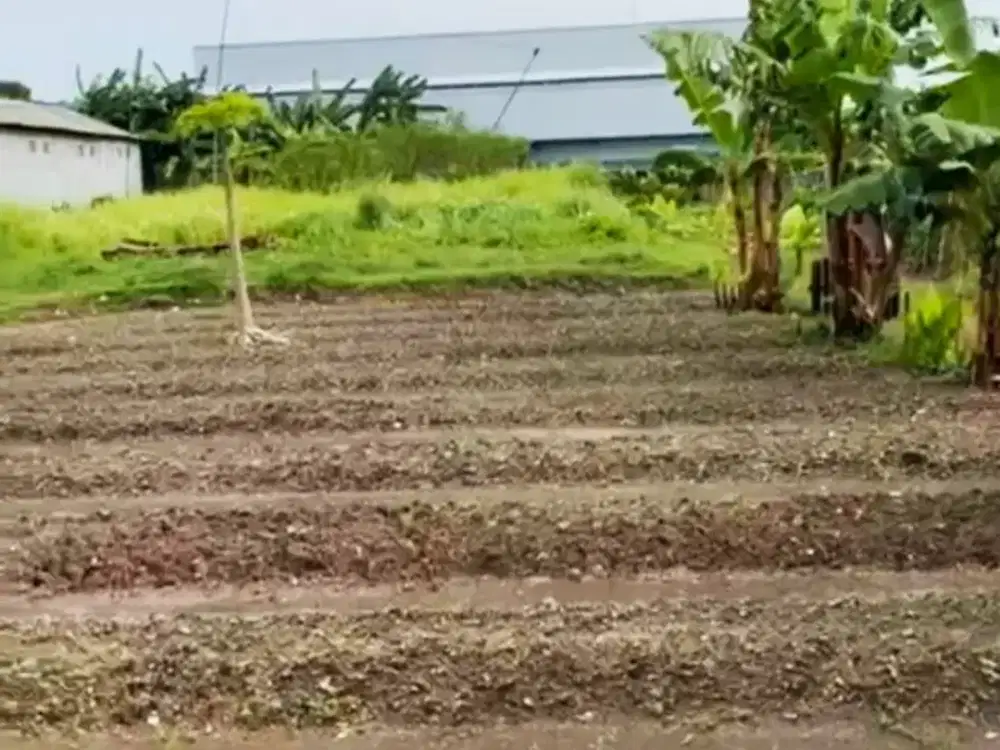 Murah, Tanah dekat Kawasan Industri, Cocok untuk Berkebun/Beternak/Mess Karyawan