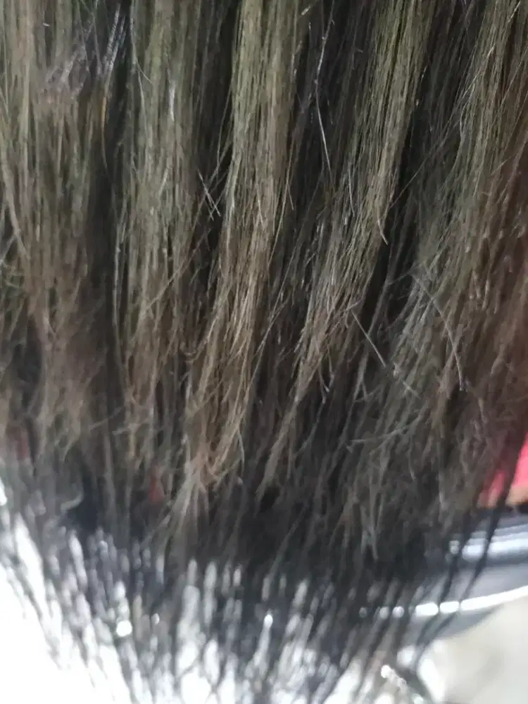 Dibutuhkan asisten salon