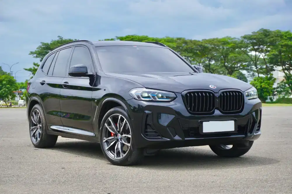 BMW X3 G01 LCI MSport 
xDrive30i B48 2022