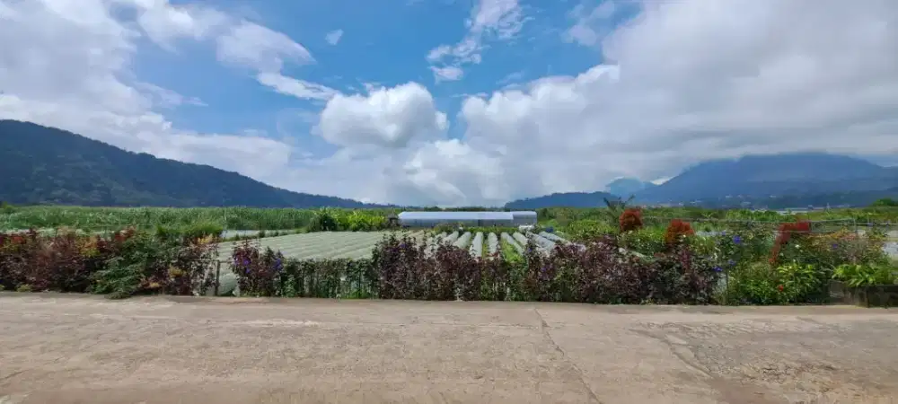 DIJUAL TANAH LANGKA DI TEPI DANAU BERATAN BEDUGUL BALI SHM 3000M2