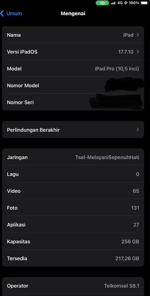 Ipad pro 10,5 inch 256 Gb sellular dan wifi