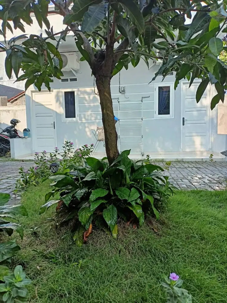 Arsya Kost Komplek dekat Alam Sutera