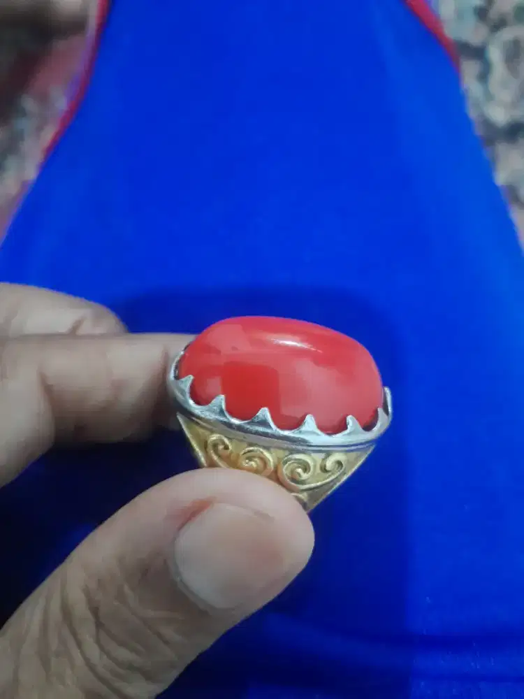 Di jual batu marjan jumbo mulus sesuai foto minat wa