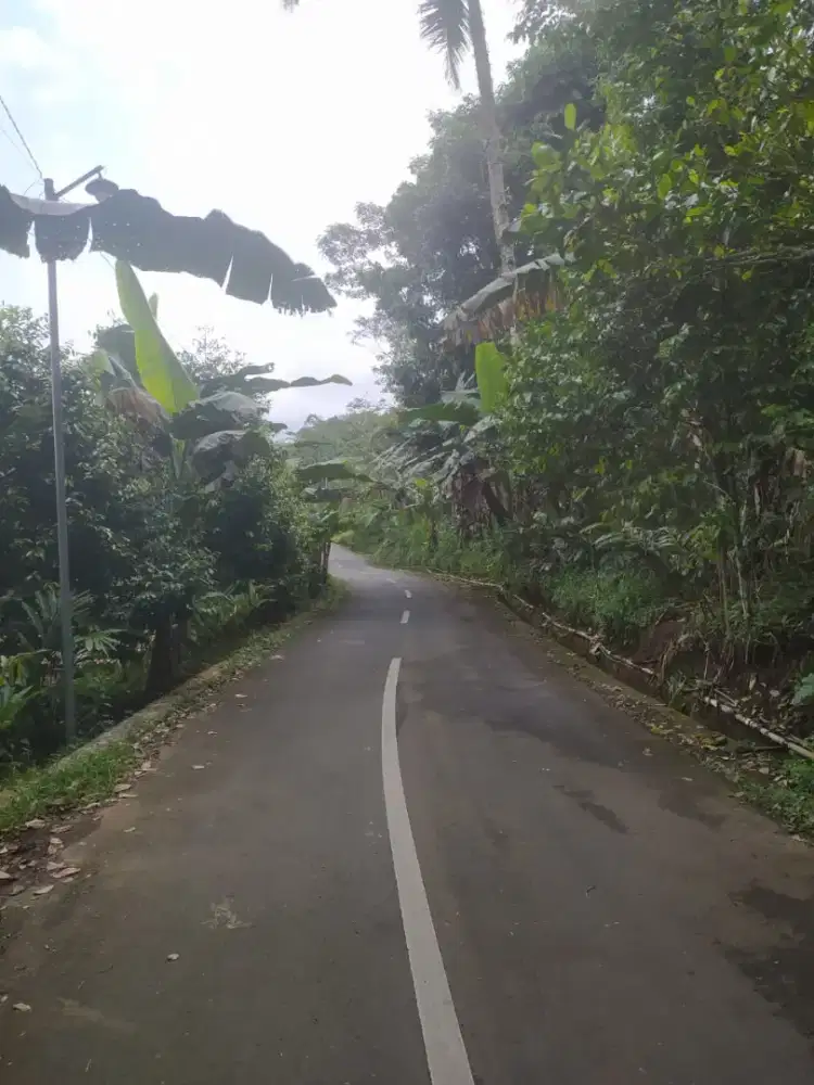 *DIJUAL TANAH*
Dekat Baturraden

- Luas : 2.490 M²
- SHM