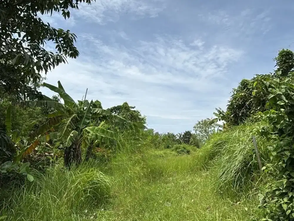 Land for sale in Balian, Bali