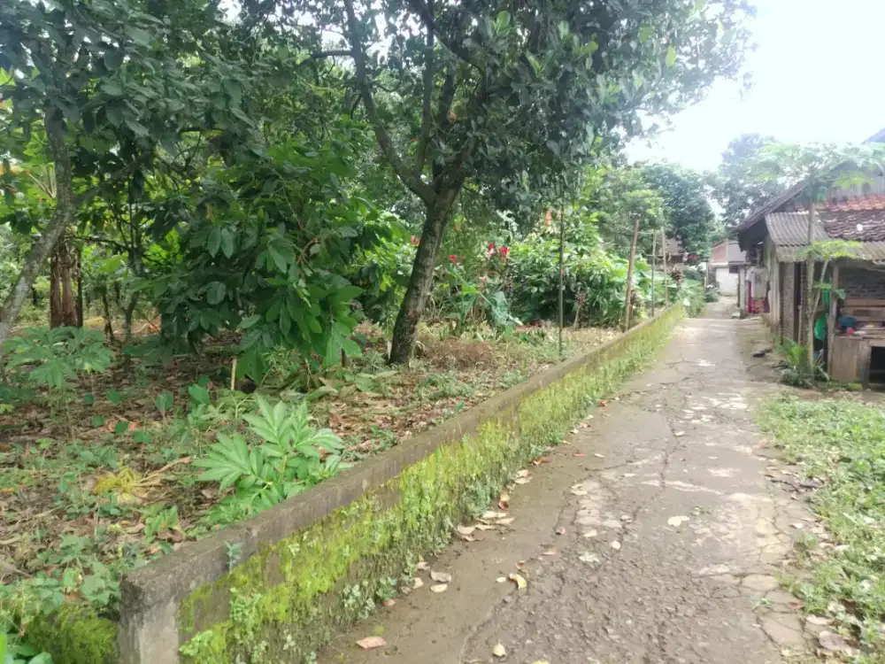 Tanah Dijual Hanya 3 menit dari pasar boja (Pinggir Jalan)