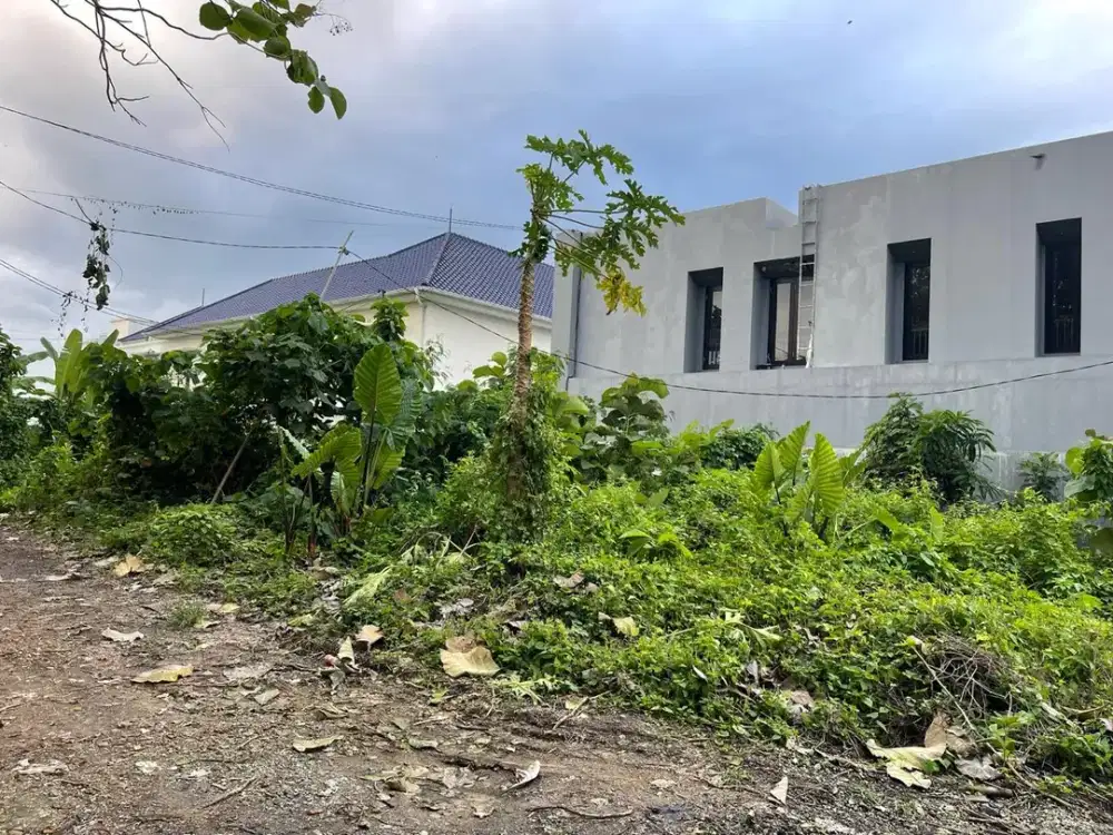 Tanah Bisa Langsung Dibangun di Munggu Pemaron