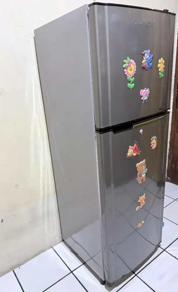 Kulkas dua pintu hidup