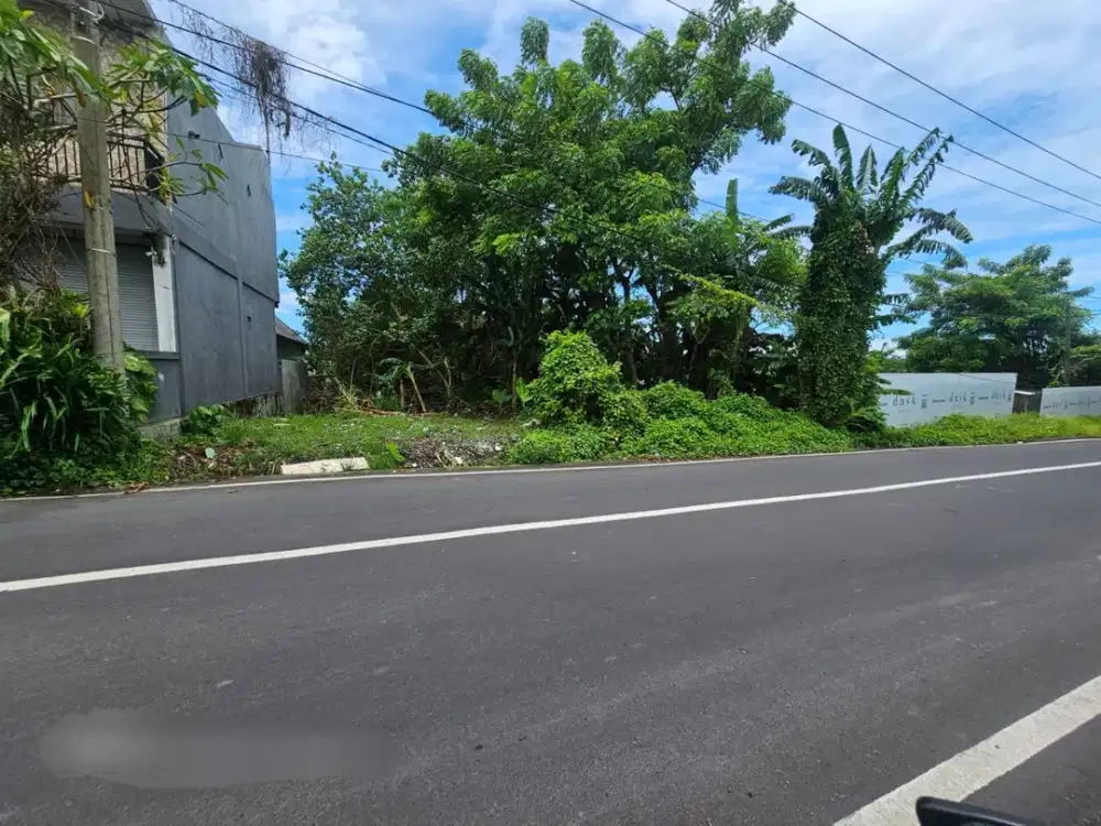 Tanah Premium di Utama Tumbak Bayuh Tiying Tutul Pererenan Dkt Canggu