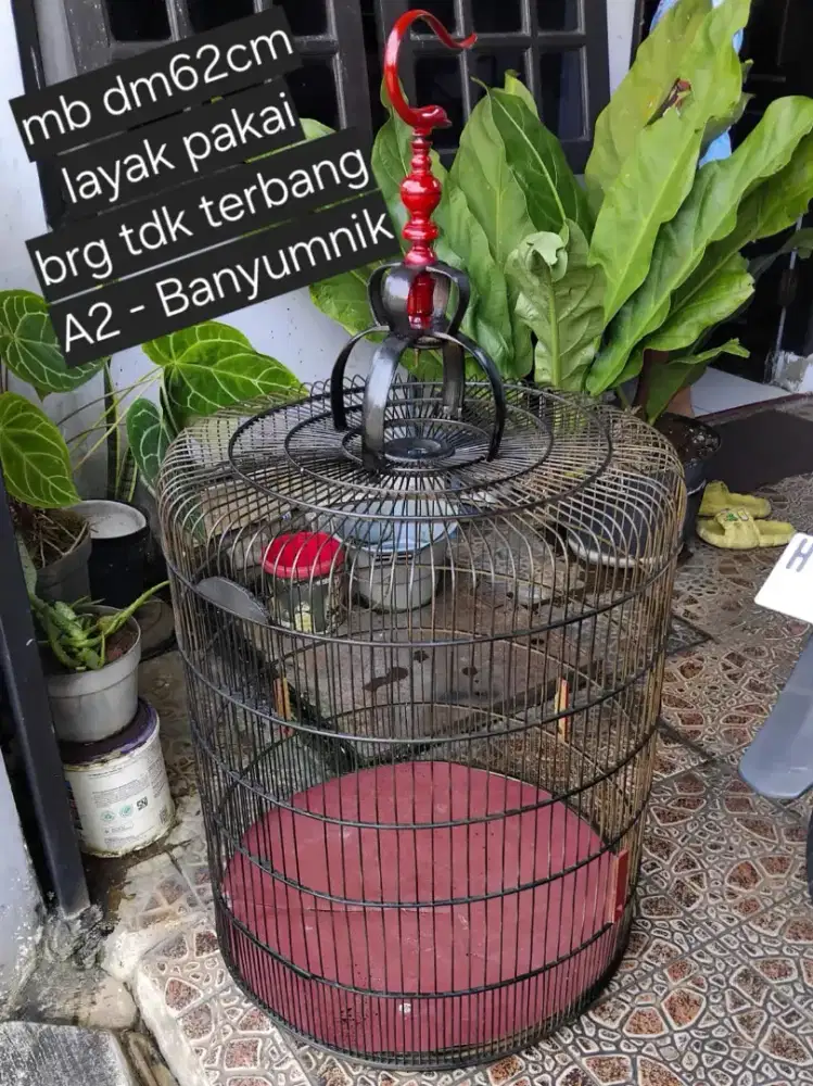 Sangkar murai dm62 cm