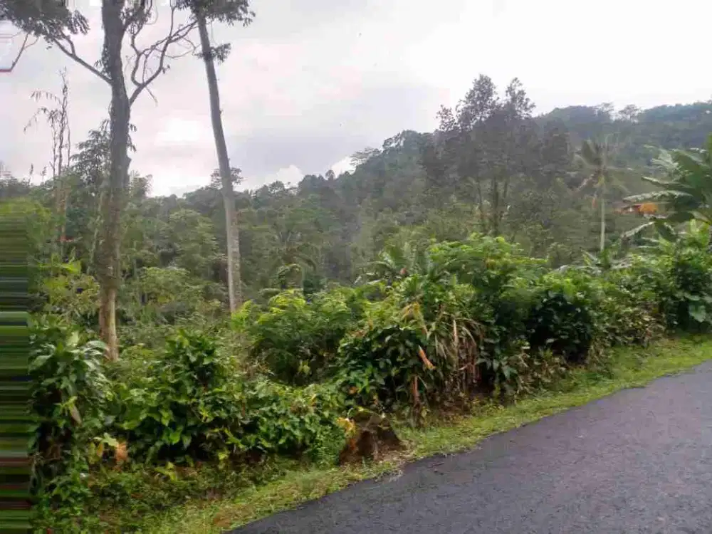 tanah darat kebun