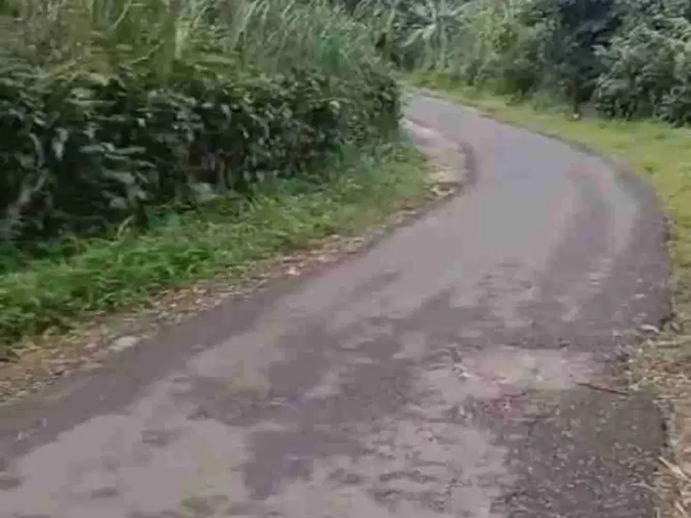 tanah darat kebun+Balong ikan