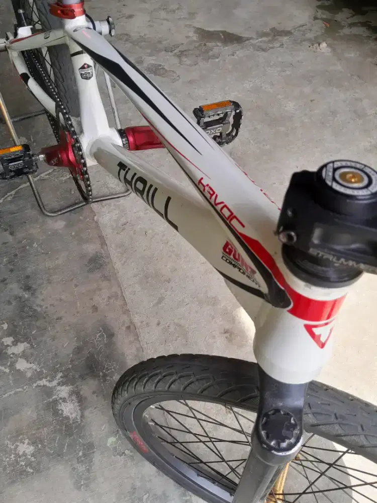 Sepeda bmx thrill havoc pro xl
