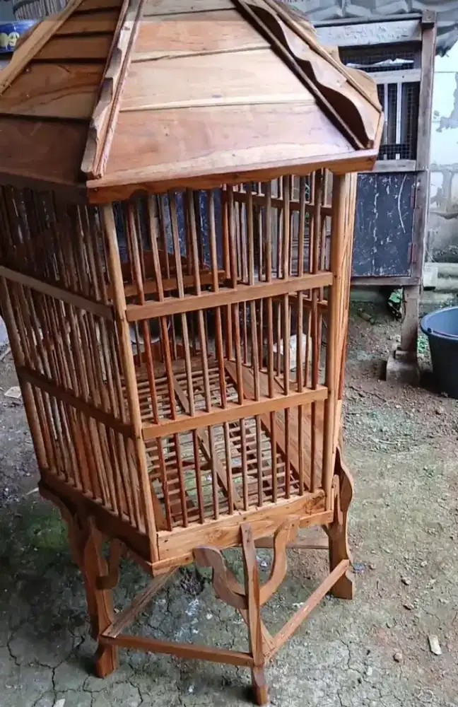 Kandang untuk ayam bekisar