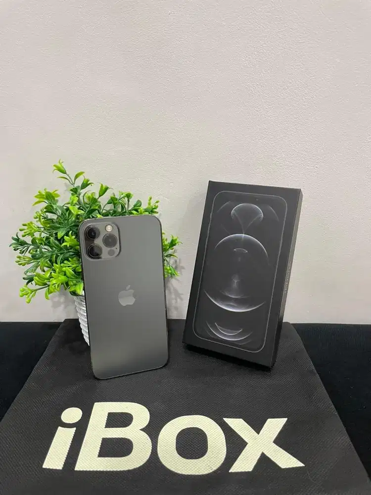 IPhone 12 Pro 128GB iBox Graphite mulus Fullset BH 100% Permanent