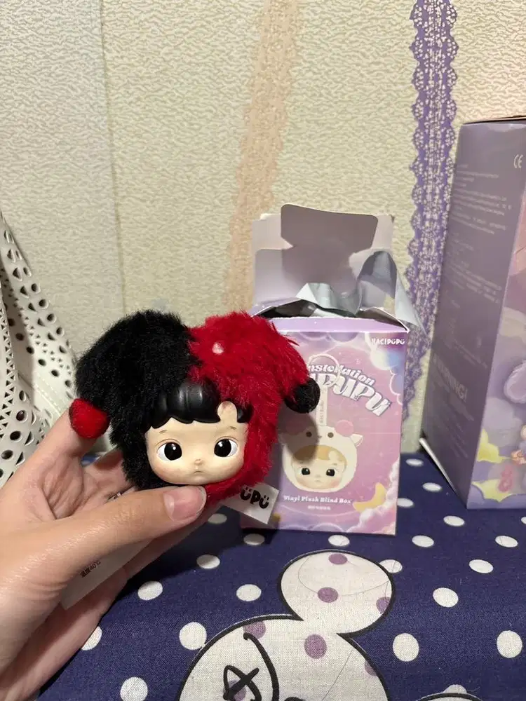 HACIPUPU THE CANSTELLATION