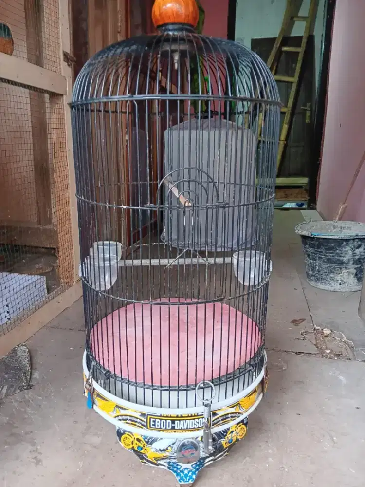 Sangkar/kurung burung