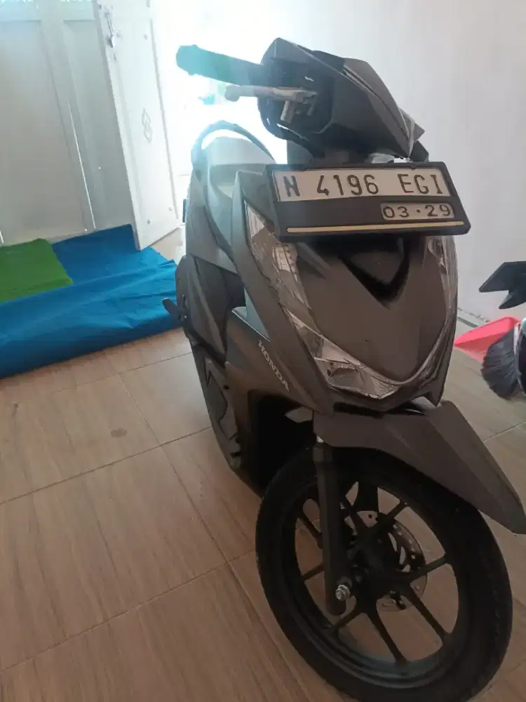 Beat delux 2024 N panjen