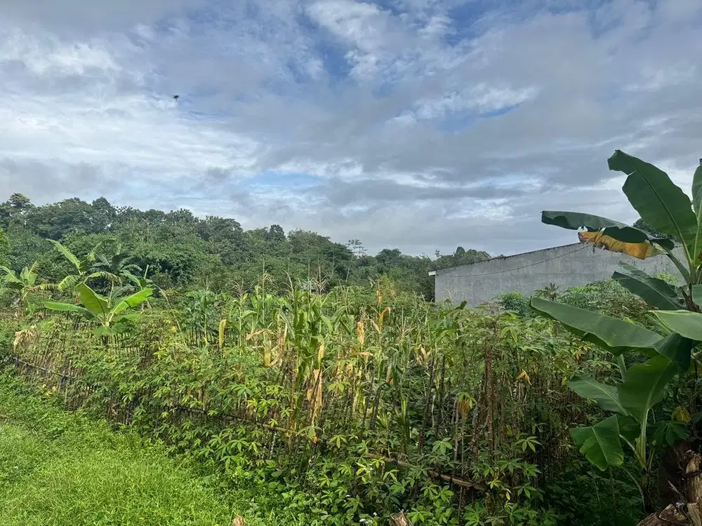 Dijual Tanah milik probadi lokasi di Bogor Kota