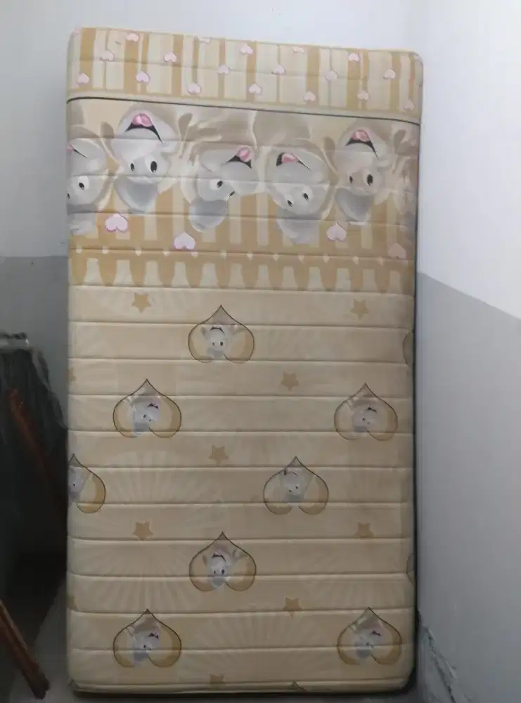 Kasur sorong 2 in 1 mukus siap tidurkan