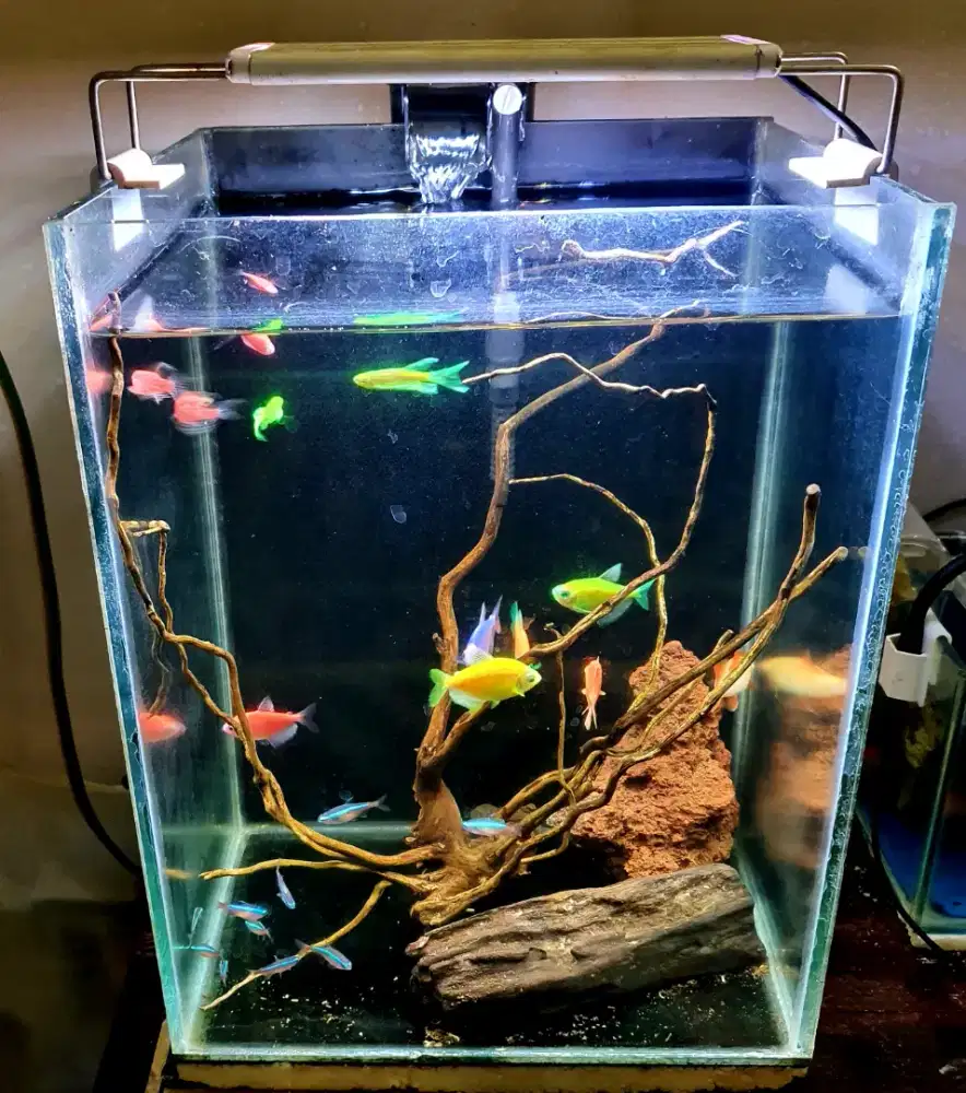 Aquarium lengkap