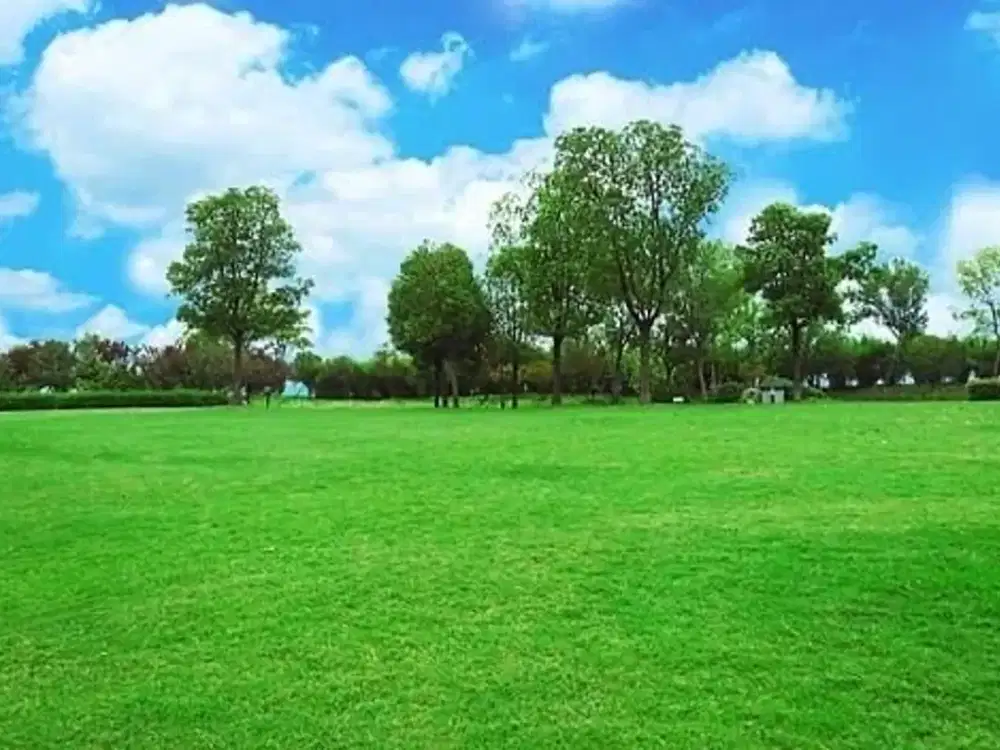 Kavling Graha Family Blok D