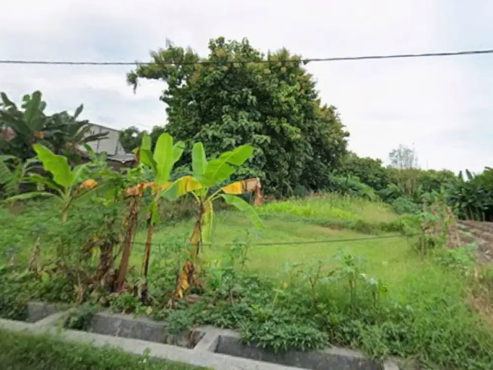 TANAH RAYA MADE NOL JALAN, SHM