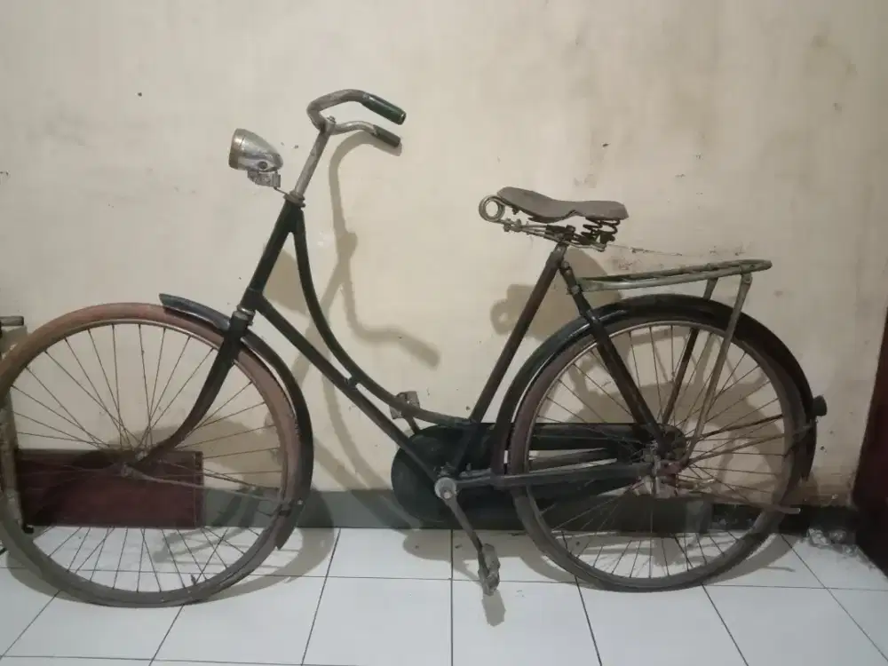 Sepeda ontel fongres D55