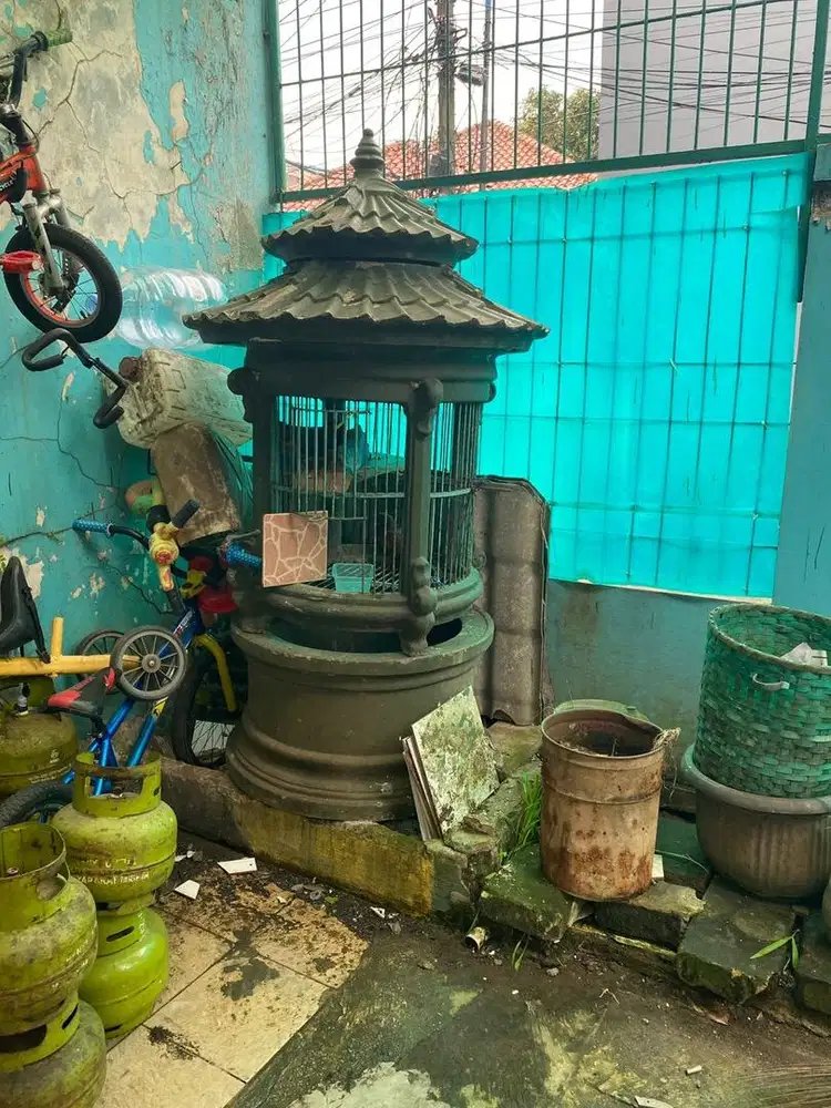 Kandang burung ayam beton / cor coran